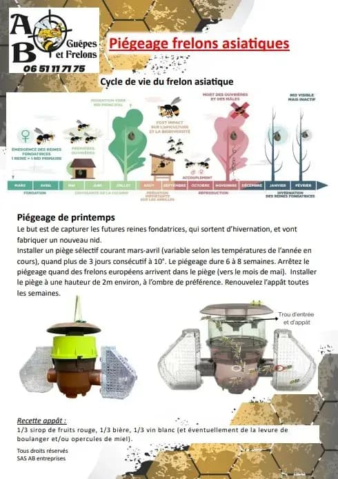 Notice explicative d'utilisation du piège à frelons asiatiques